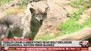 The wolf habitat at ZooAmerica in Hershey, PA.