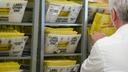 Workers sort mail ballots on Nov. 5, 2024, at Northampton County Courthouse in Easton, Pennsylvania.