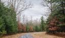 A wooded area in Centre County.