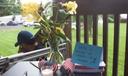 Flowers and a small American flag on a table at a vigil in Muhlenberg Township, where supporters were invited to write messages to Erasmo Zavala. He is being held at Moshannon Valley Processing Center.