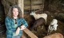 A woman stands next to an enclosure with sheep