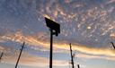 Silhouetted Flock Safety license plate reader against an orange-and-blue sunset sky, with utility poles and power lines below.