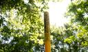 A marker for an Energy Transfer petroleum pipeline stands near the Delaware River in Upper Makefield Township, Pa.