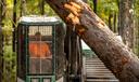 Bert Sarginger operates a machine that can cut and load logs onto a truck bed on a logging site in the Allegheny National Forest.