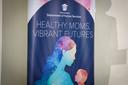 A display at the unveiling of the Commonwealth's Maternal Health Strategic Action Plan.