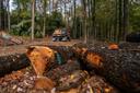 Dan Albaugh, a third-generation logger, drives away from a logging site in the Allegheny National Forest near Howe Township.