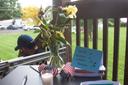 Flowers and a small American flag on a table at a vigil in Muhlenberg Township, where supporters were invited to write messages to Erasmo Zavala. He is being held at Moshannon Valley Processing Center.