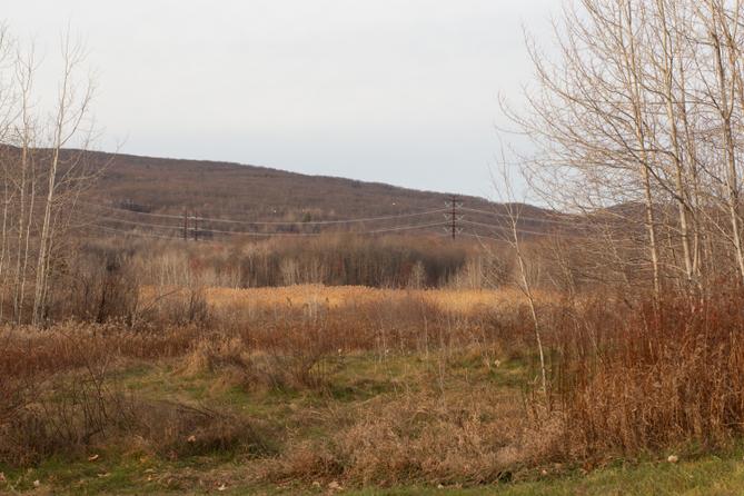 Power lines sit on a hillside