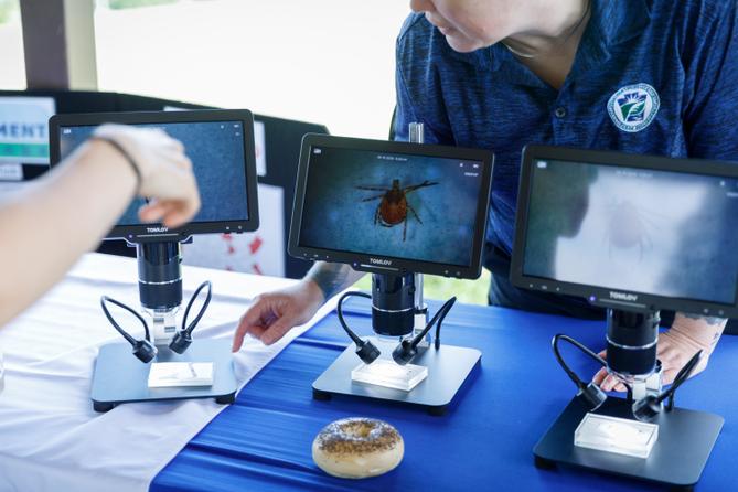 A screen displays a tick