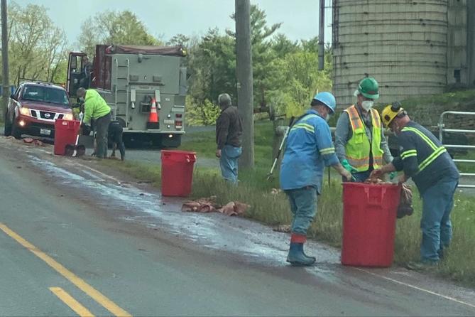 A crew cleans slaughterhouse waste that spilled along a rural road in central Pennsylvania in 2021. A crew cleans slaughterhouse waste that spilled along a rural road in central Pennsylvania in 2021.
